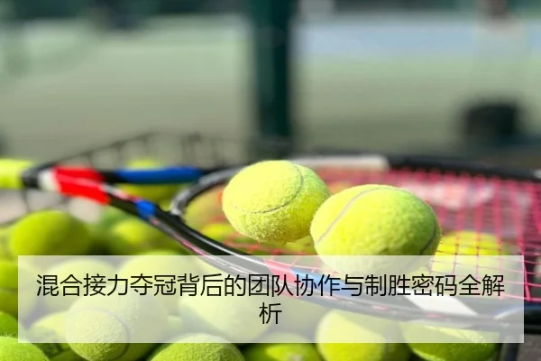 混合接力夺冠背后的团队协作与制胜密码全解析