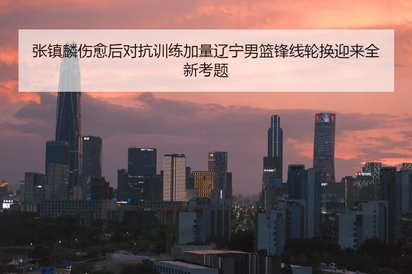 张镇麟伤愈后对抗训练加量辽宁男篮锋线轮换迎来全新考题