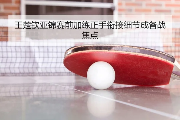 王楚钦亚锦赛前加练正手衔接细节成备战焦点