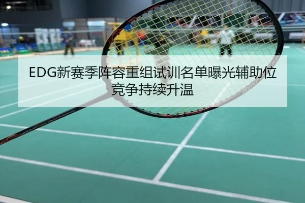 EDG新赛季阵容重组试训名单曝光辅助位竞争持续升温